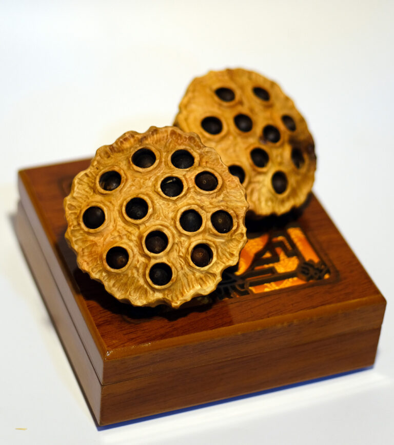 Taihang Yabai Hand-Carved Lotus Pod Cultural Artifact Set